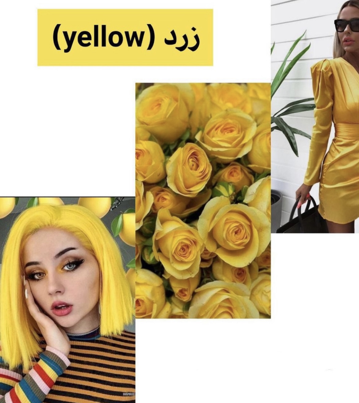 پاییز امسال چه رنگ هایی ترند شده؟